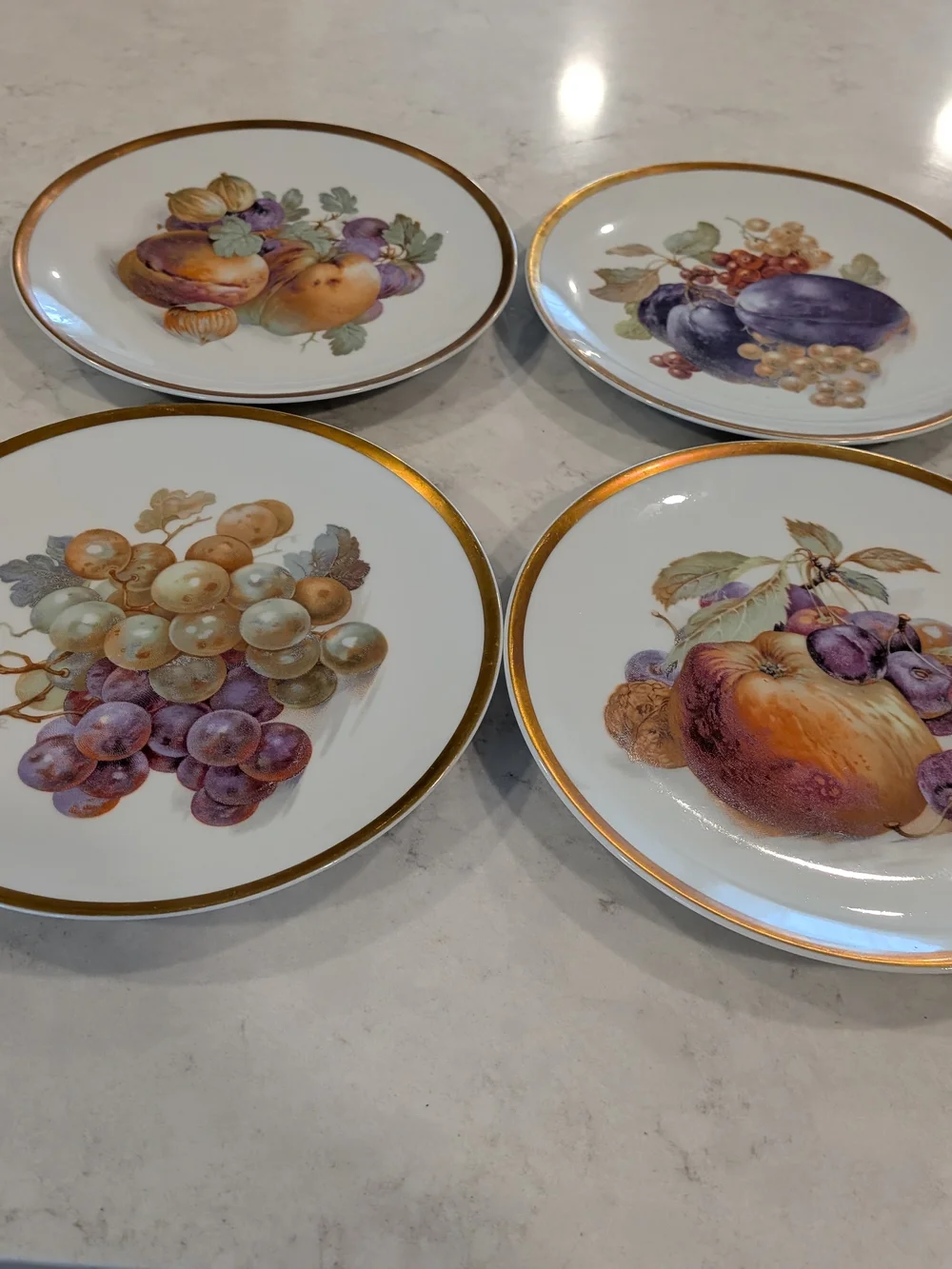 Bavaria Orchard Porcelain Fruit Accent Plates with Gold Rim - Set of 4 (White)
